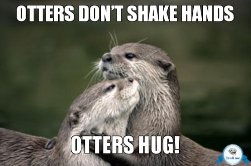 OTTER SERIES:  #27
I want to be hugging an Otter right now!!!  (and oh so fucking much more with an Otter!!!)