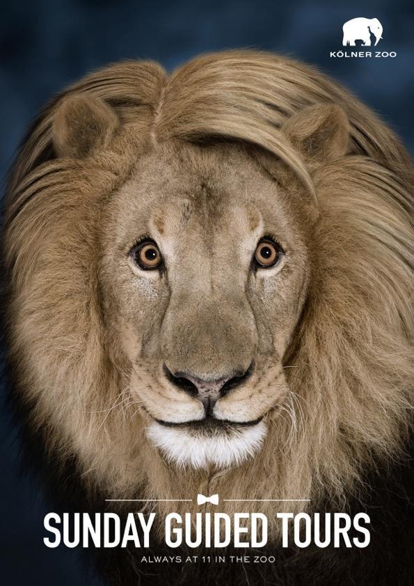 (via Zoo Cologne: Sunday guided tours, Lion | Ads of the World™)