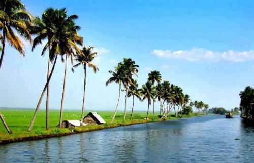 Download this Natural Beauty Kerala picture