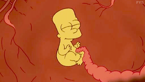 30 sorprendentes curiosidades de los Simpsons que no sabías | The Idealist