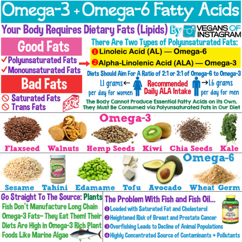 Your body requires dietary fats (Lipids). Fat provides essential fatty acids that the body can’t produce on its own and must be consumed through polyunsaturated fats in our diet. Polyunsaturated fats provide two essential fatty acids: <br /><br />
1⃣ Linoleic Acid (LA) - Omega-6 <br /><br />
2⃣ Alpha-Linolenic Acid (ALA) Omega-3<br /><br />
The U.S Institute of Medicine recommends an daily ALA intake of 1.6 grams for men and 1.1 grams for women. Diets should aim for a ratio of 2:1 or 3:1 of Omega-6 to Omega-3. The western diet, which is high in refined oils, consumes far too much Omega-6. Today, most people are averaging a ratio of 10:1 and even 20:1 Omega-6 to Omega-3. <br /><br />
But is eating more fish the the answer to balance? Not necessarily. Fish don&#8217;t manufacture long chain Omega-3. Their diet is high in Omega-3 rich plant foods like algae. They eat them which their body converts to DHA and EPA. We can go straight to the source and avoid the host of health and environmental troubles that come from consuming fish. Fish oil is loaded with saturated fat and cholesterol. They’re highly concentrated sources of contaminants and pollutants. More recently, studies have shown that eating fish and taking fish oil supplements are not as beneficial to the brain and heart functions as previously thought. In fact, fish has been shown to increase the risk of breast cancer in women and prostate cancer in men. Consuming fish products is not sustainable as it leads to overfishing which impacts the entire eco system.<br /><br />
Another contributing factor to the decline of animals as sources of Omega-3 comes from our farming practices. Today people are eating meats, dairy products, and eggs that contain far fewer of these needed nutrients. John Robbins writes that &#8220;You’d have to eat 20 of today’s supermarket eggs to get as much omega 3’s as are provided by a single egg from a free range chicken.”<br /><br />
You can get your daily serving of Omega-3 by incorporating flaxseeds, chia seeds, kiwi, walnuts, kale, and other leafy greens into your diet. Unlike fish oil, flaxseed oil can be used in salad dressing which provide an easy way to ingest significant doses. Many factors can hinder the body’s ability to convert omega-3 fatty acid to DHA and EPA, which is why it’s important to avoid overly processed foods and make sure you&#8217;re getting the right balance of vitamins and nutrients in your diet. Vegan diets lacking Omega-3 may want to take DHA-rich micro algae supplements. Conversion is easier when you balance with healthy sources of Omega-6 rich foods like sesame seeds, tahini, edamame, wheat germ, and tofu. #VegansofIG