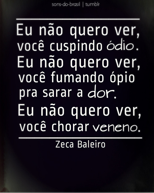 sons-do-brasil:

Bandeira - Zeca Baleiro