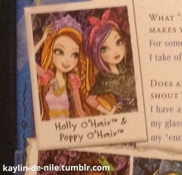kaylin-de-nile:

Holly and Poppy from the back of Dexter’s box :)
