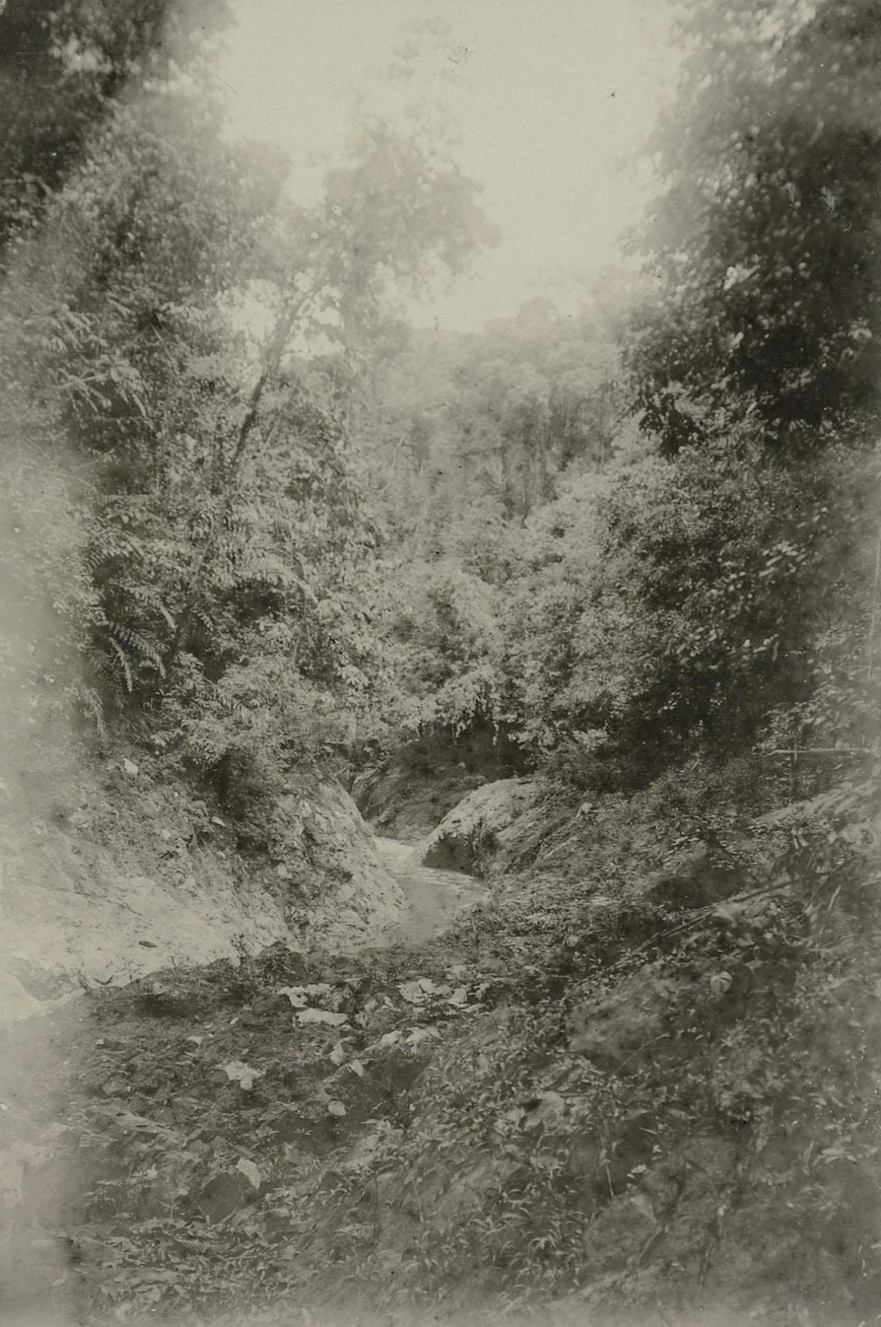 Mathol de Jong

The Valley of the Upper Seboeda River 
Expedition Justinus Nassau Series 9. Sembakoeng - Semboekoe - Sedalir - Tidoengsche countries - East Borneo, 1900
Exploration tour of the Tidoengsche countries led by the captain of the General Staff P. van Genderen Stort
(Kern Photography Collection, National Museum of Ethnology)