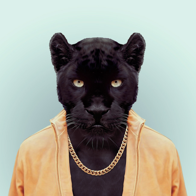 PANTHER by Yago Partal 
for ZOO PORTRAITS
