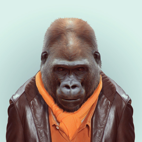 GORILLA by Yago Partal 
for ZOO PORTRAITS