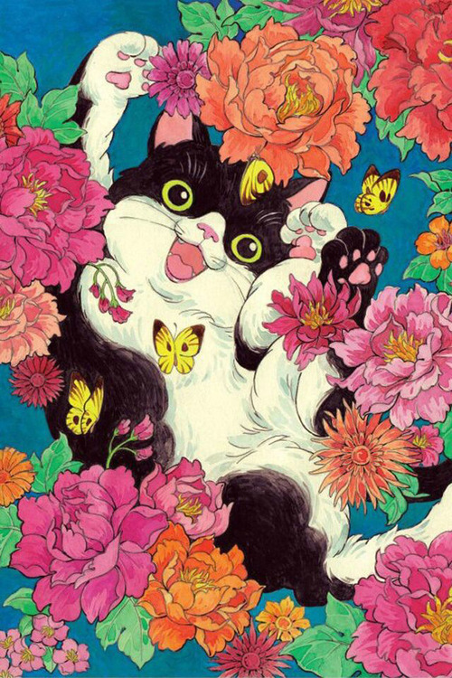 cat in alice drawings wonderland tumblr cats colorful art flowers psychedelic hip rainbow cat
