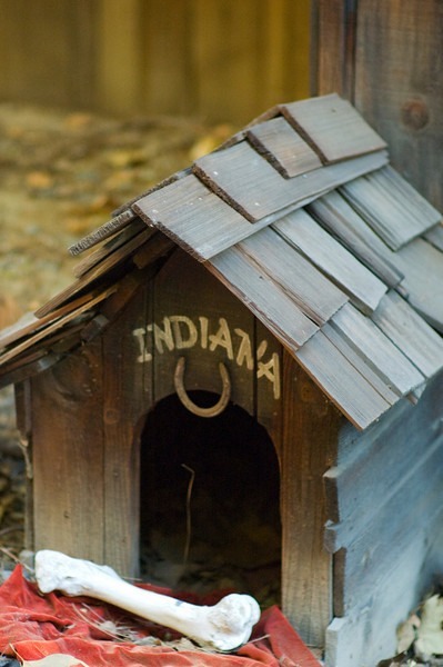 Disneyland dog house indiana jones disneyland railroad