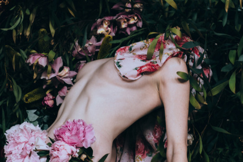  Lisa Sorgini – Discourse With Flowers
