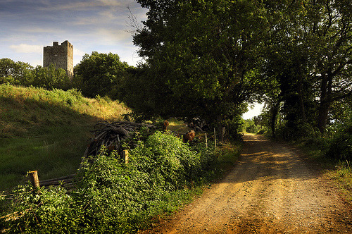 The French countryside (by Chris (archi3d))