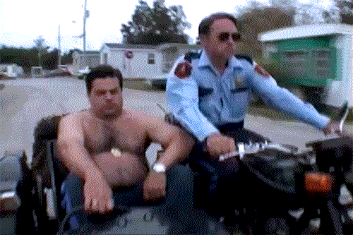 Image result for trailer park boys movie swearnet animated gif