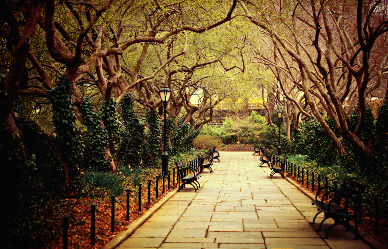 Tree lined path in spring. Conservatory Garden.... | NY Through the Lens - New York ...