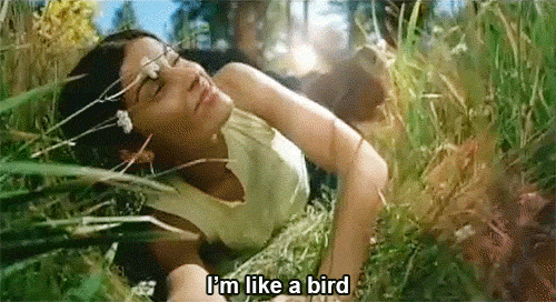 Image result for im like a bird gif