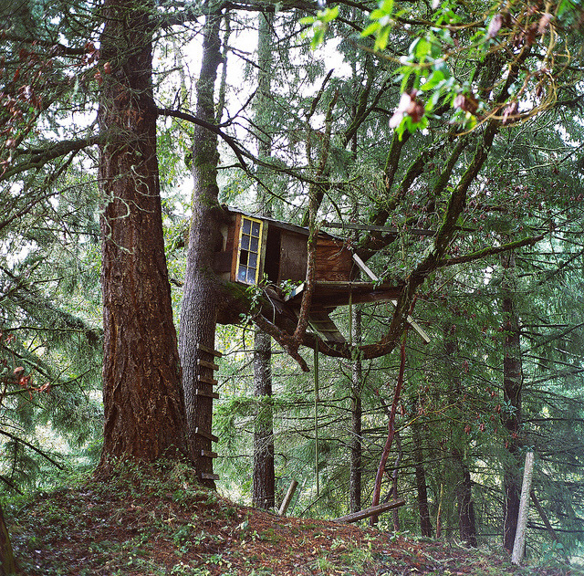 kyle&#8217;s treehouse. by Saria Dy on Flickr.