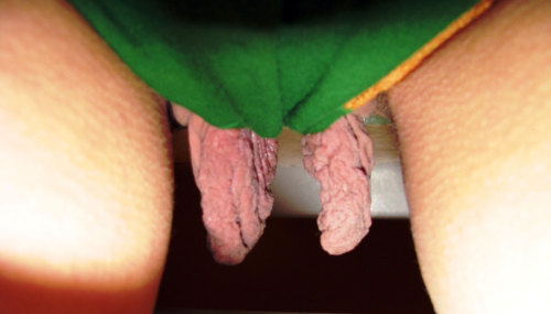 Legs up meaty vagina