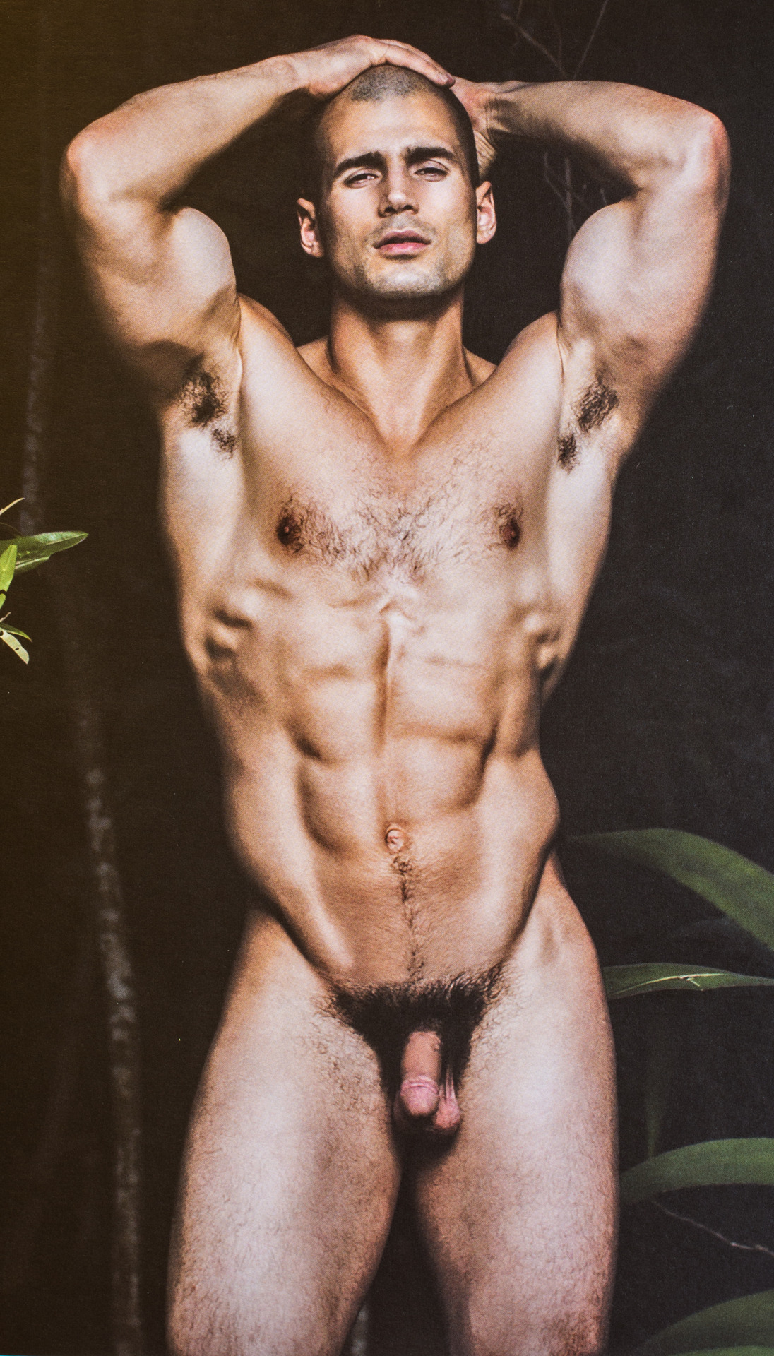 Todd sanfield baseball cap hairy fuck picture