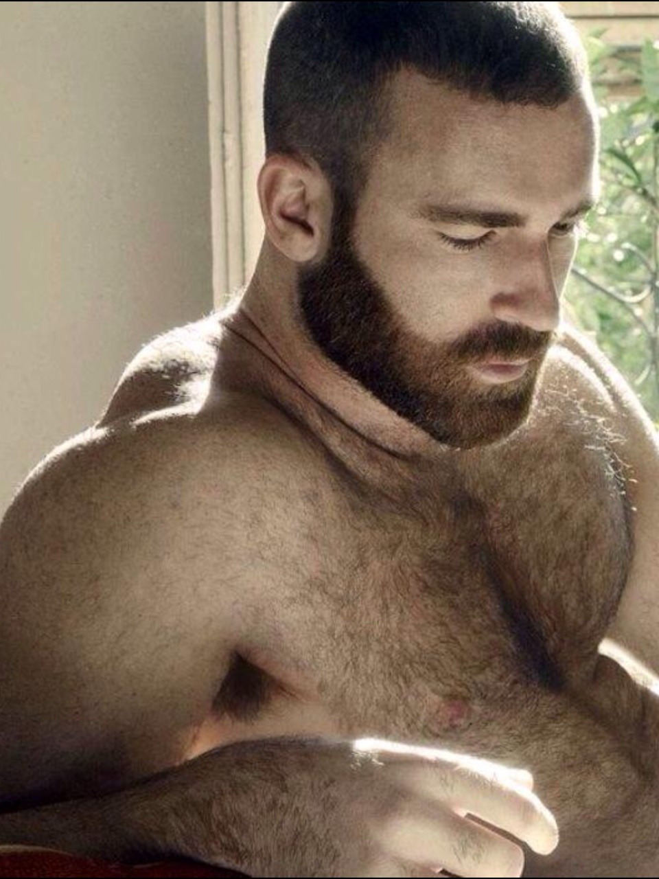 Man with beard hairy chest