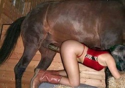 Busty girl sex with horse