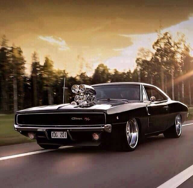 Dodge charger hot girls