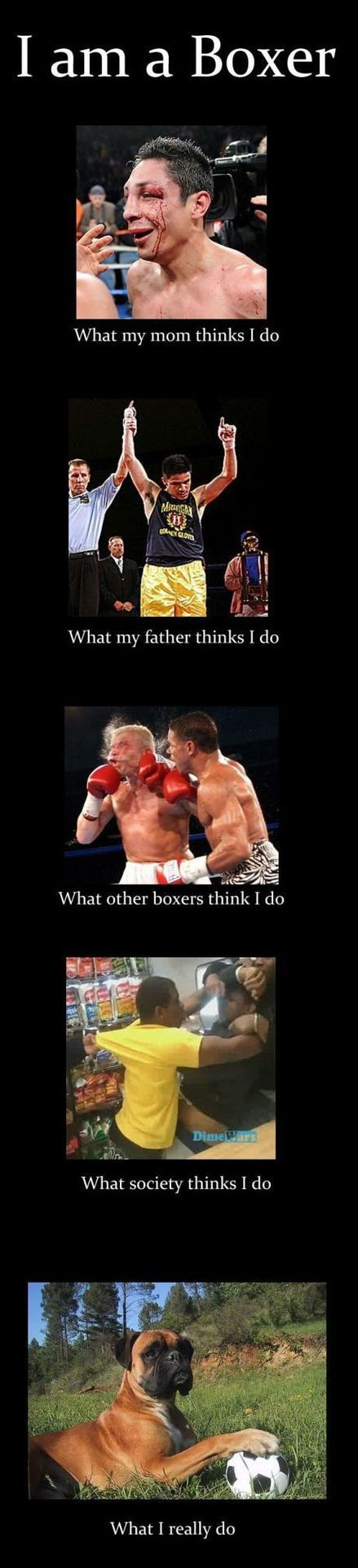 Funny boxing images men