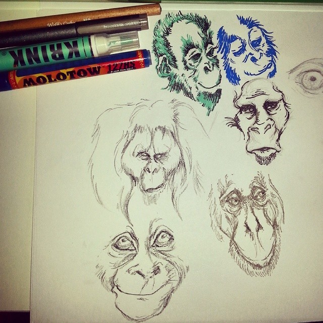 waitforsomethingwild: Some doodley orangutan studies I did using the #artsnacks stuff I got ArtSnacks is like a magazine subscription but instead of a magazine you get 4 or 5 different art products to try out. Learn more about ArtSnacks here.