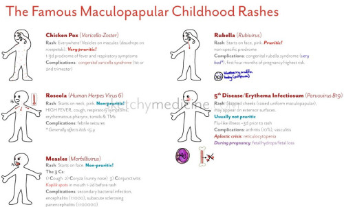 Pictures of roseola rash in children hot pics