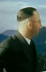 Heinrich Himmler Gif