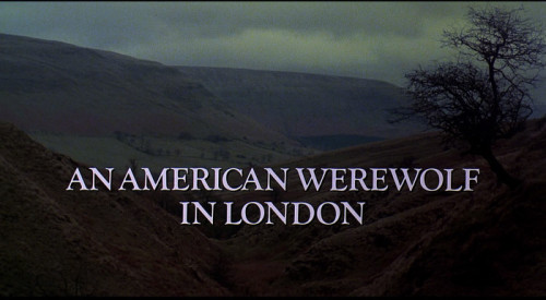 David naughton american werewolf in london