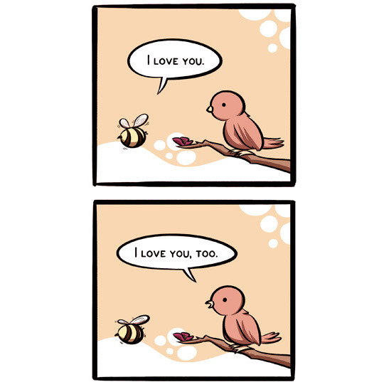 Birds and the bees