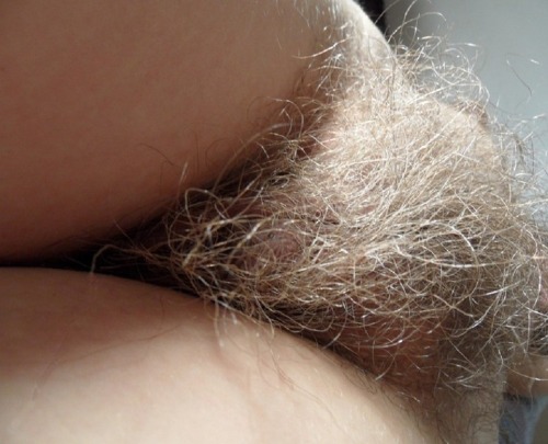 Grey haired mature hairy pussy
