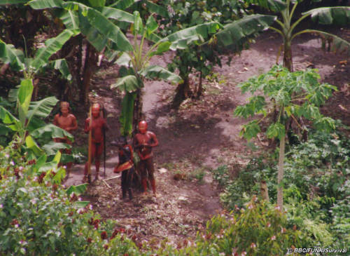 Uncontacted amazon tribe