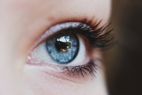 wildstag: my eye by Lara Be on Flickr.
