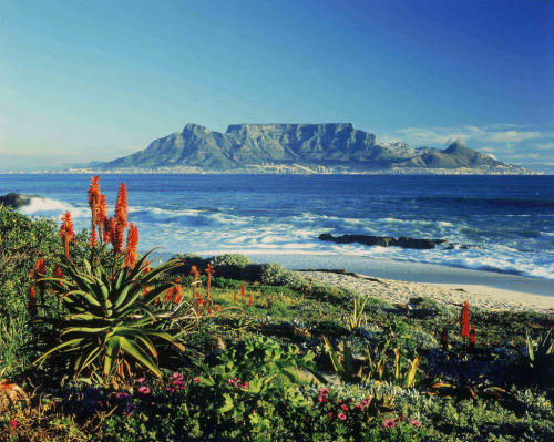 Cape town beauty