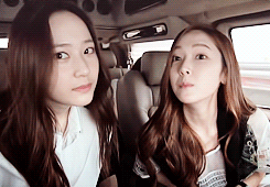 Image result for Jessica and krystal  gif
