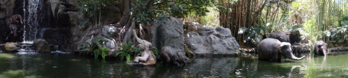 foobar137: The good thing about being stuck on the Jungle Cruise: how often do you get to do a panorama of the elephant bathing pool? 