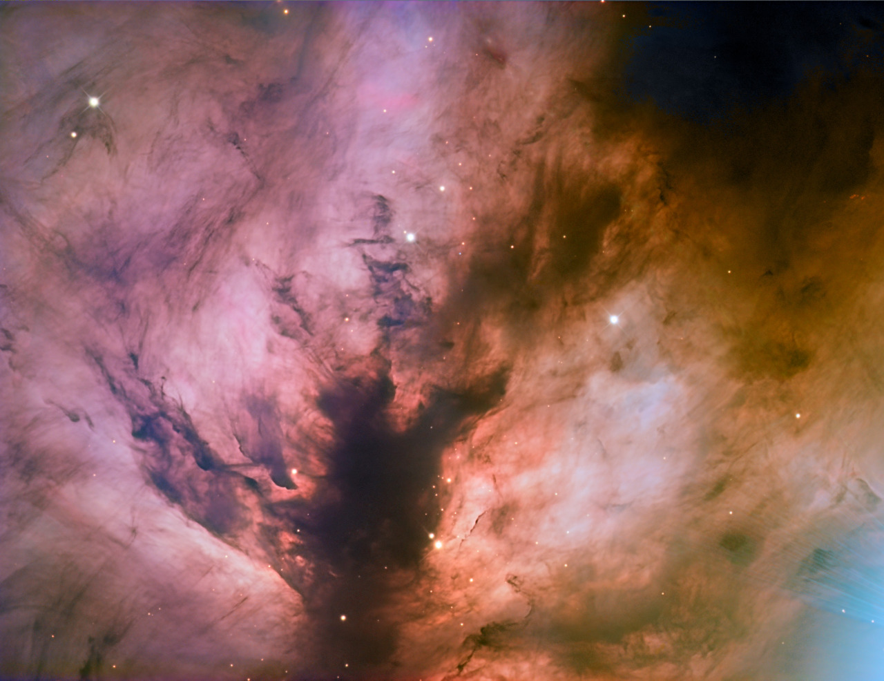 Peony nebula star