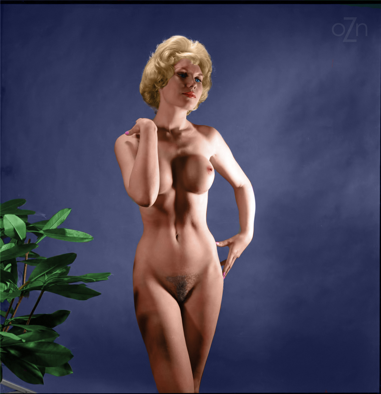 Vintage 60s nudes porn