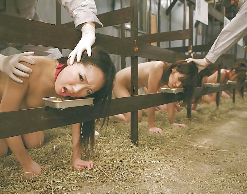 Asian pet girls farm tumblr