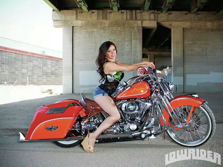 Topless harley babes on bikes