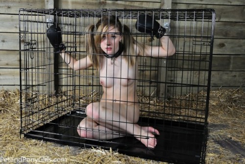 Cage and leash