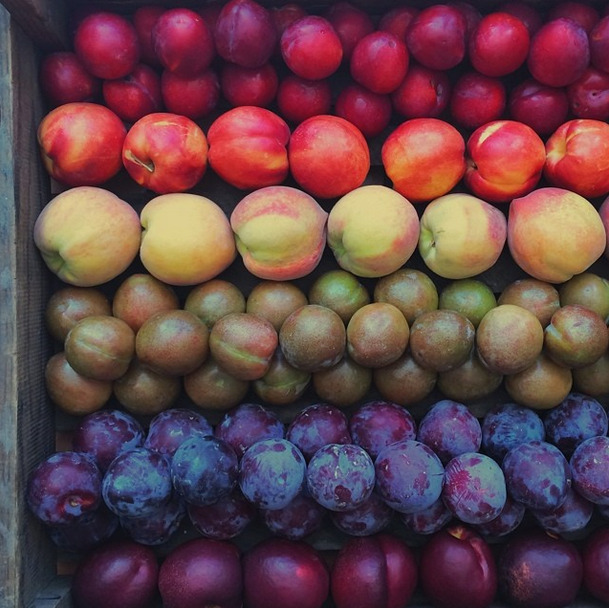 Happy Pride Weekend from the farmer&#8217;s market! Image via Good Eggs SF Instagram