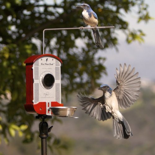 Bird feeder with roof