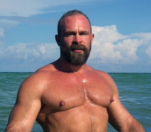 Bald muscle men with beards