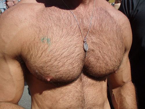 Gay muscle men with big nips