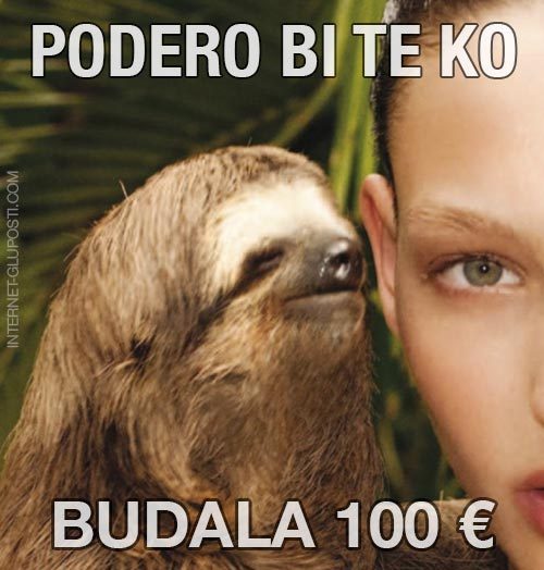Sloth meme with girl