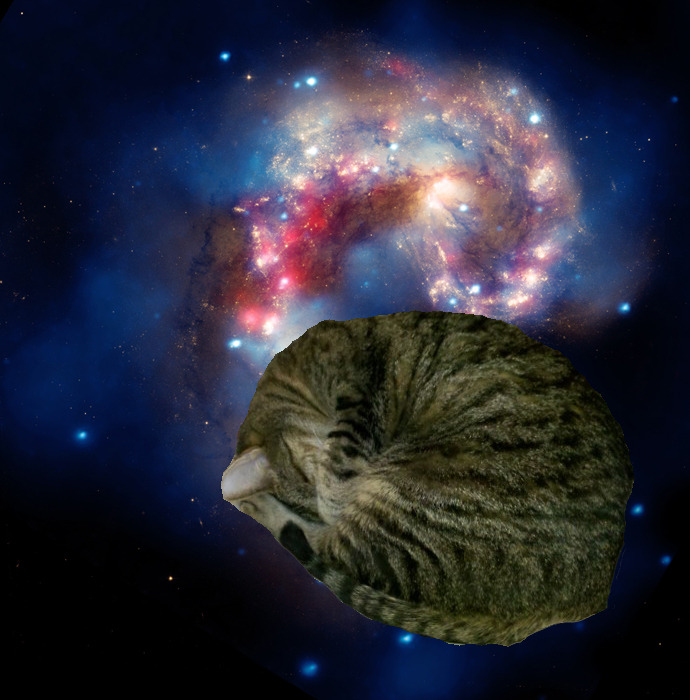 Space Pussy 49