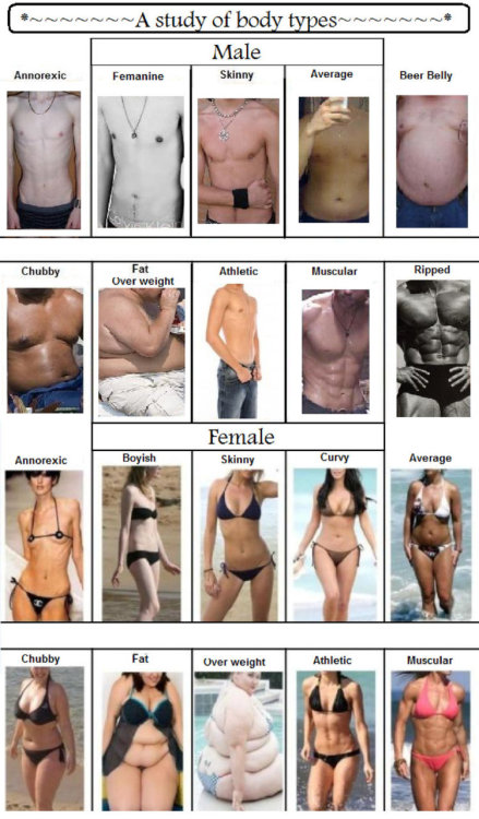 Average body type women