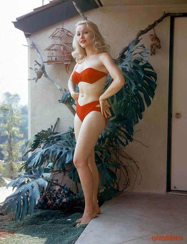 Splendidness, Julie Newmar in red bikini.