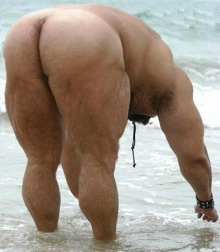 Muscle bear men with big butts