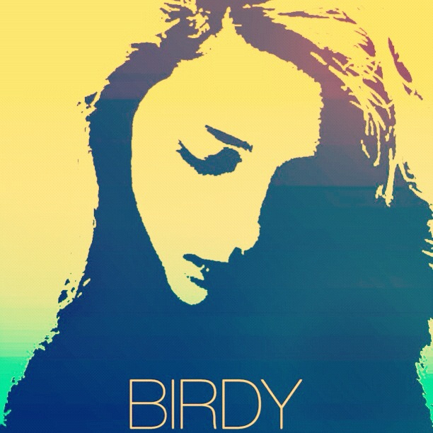 Birdy skinny love